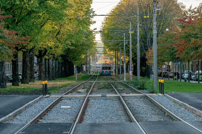 train rail near trees during daytime